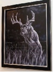 Whitetail Print