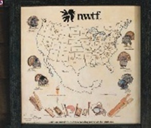 Species Map