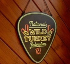 Guitar Pick LED Sign
